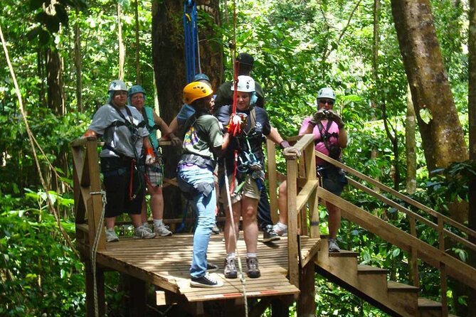 Rainforest Rush: St. Lucia Zip Line Adventure - A Closer Look at the Rainforest Rush Zip Line Experience