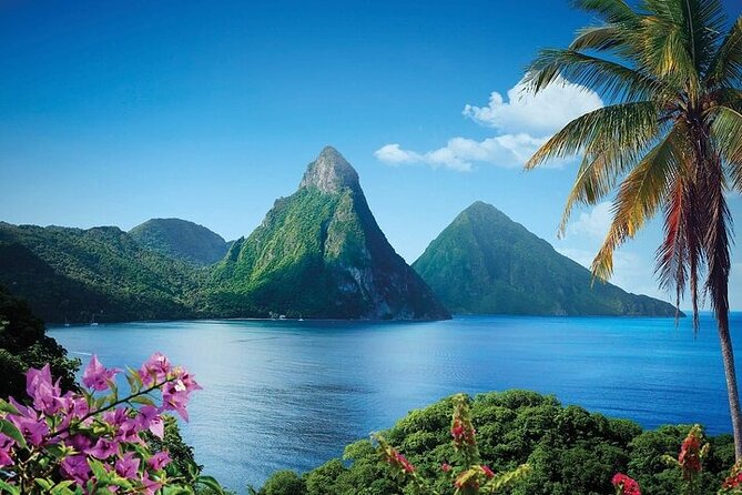 St. Lucia Rainforest Eco-Explorer: Aerial, Zip, and Hike Combo - The Value of the Tour