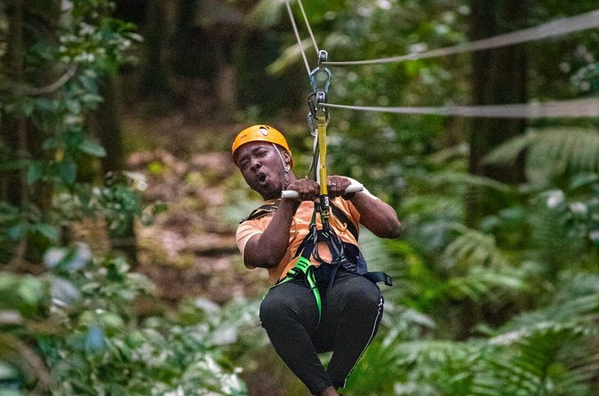 St. Lucia Rainforest Eco-Explorer: Aerial, Zip, and Hike Combo - Who Will Love This Tour?