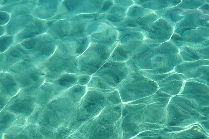 Private Full Day Snorkel Soufriere Charter - Who Would Love This Tour?