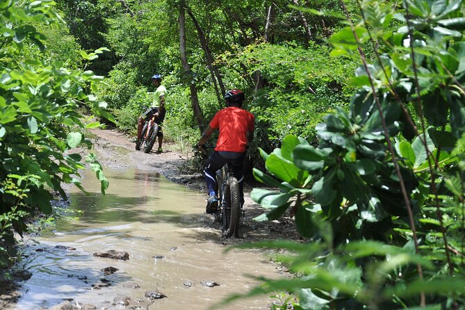 Extreme Outback Tour in St Lucia - What You Can Expect from the Itinerary