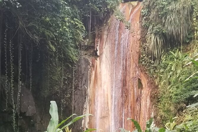 Waterfall Expedition - The Itinerary: From Lush Trails to Rushing Waterfalls