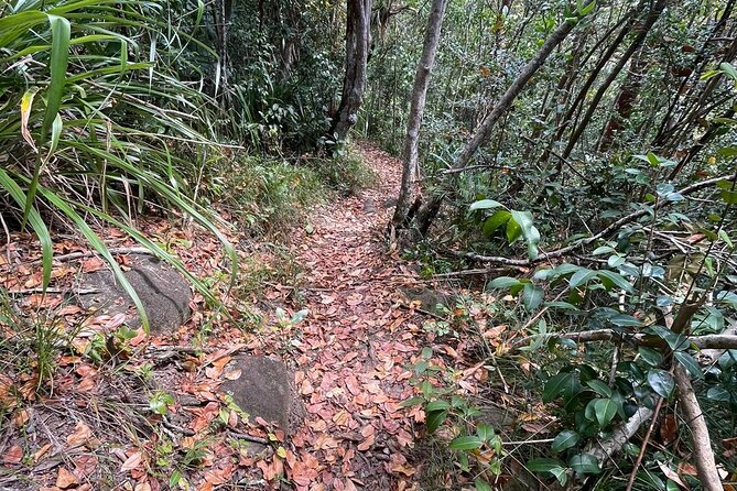 St Lucia Billy Goat Trail Hike in Marigot Bay Saint Lucia - Key Points