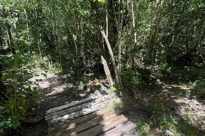 St Lucia Billy Goat Trail Hike in Marigot Bay Saint Lucia - FAQ