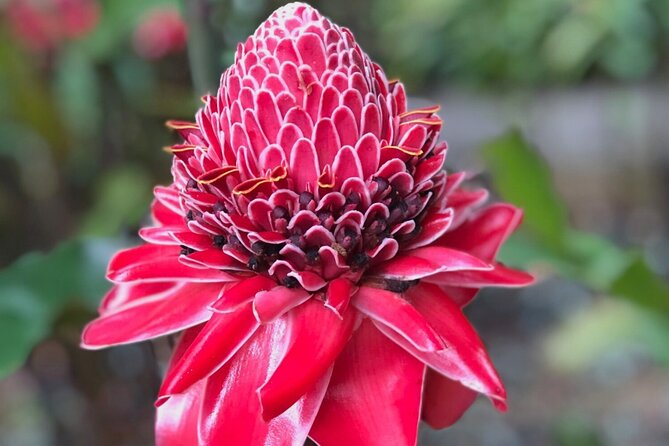 Sea and Land Tour from Marigot Bay to Soufriere - The Return Journey: Coastal Views Back to Marigot Bay
