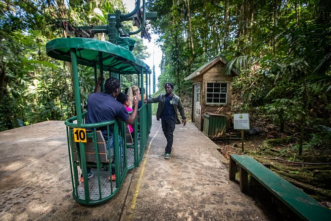 St. Lucia Zip line, Aerial Tram and Hiking tour Ultimate 3 - A Deep Dive Into the Experience