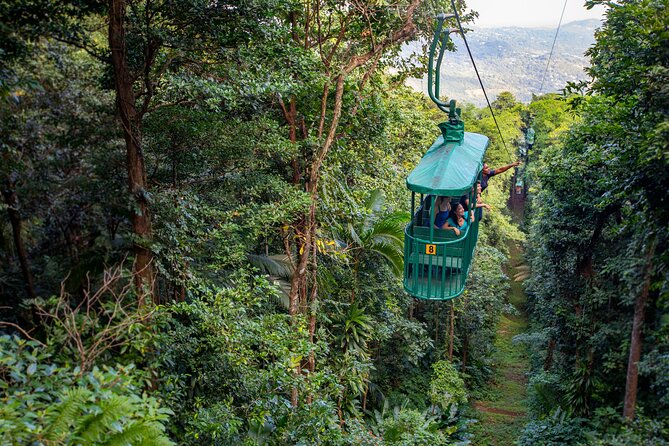 St. Lucia Zip line, Aerial Tram and Hiking tour Ultimate 3 - Key Points
