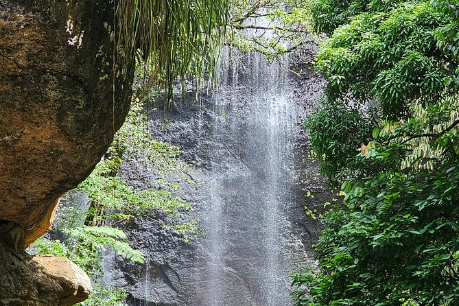 Transportation To St. Lucia Zipline Adventure - Key Points