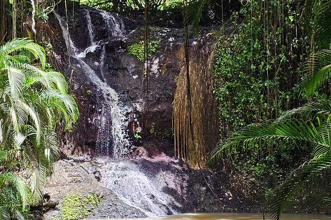 Transportation To St. Lucia Zipline Adventure - Final Thoughts: Is It a Good Fit?