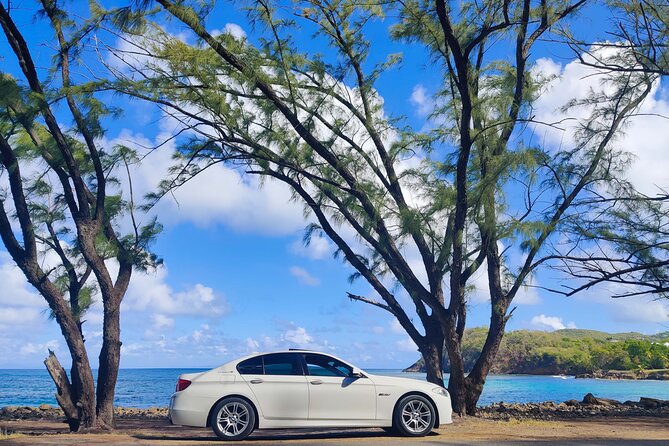 First Class Private Transfers from UVF Airport To Any SANDALS Resort (Roundtrip) - Who Should Consider This Service?