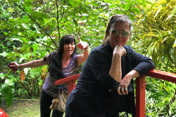 Cruise Excursions in St. Lucia - What the Reviews Say