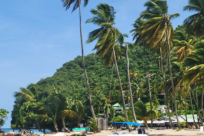 All-Inclusive Land And Sea Excursion - The Sum Up: Who Will Get the Most Out of This Tour?