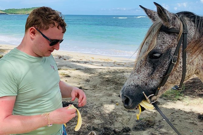 Private Beach Horseback Ride with Sandy Hoofs St. Lucia - FAQ
