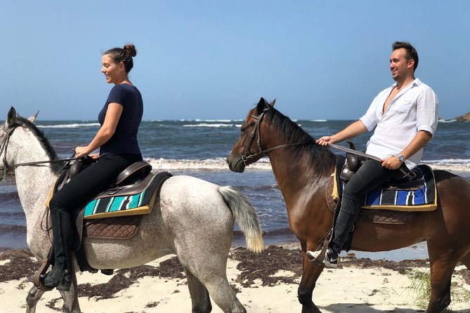Private Beach Horseback Ride with Sandy Hoofs St. Lucia - Experience the Beauty of St. Lucia on Horseback with Sandy Hoofs