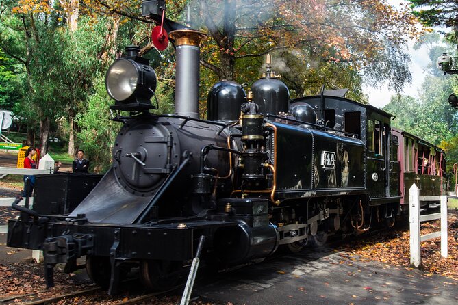 Puffing Billy And Healesville Sanctuary Scenic Tour - Comfort and Extras