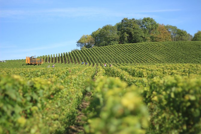 Customized private winery day tour in Yarra Valley at your own choices - Exploring the Yarra Valley with Your Custom Tour