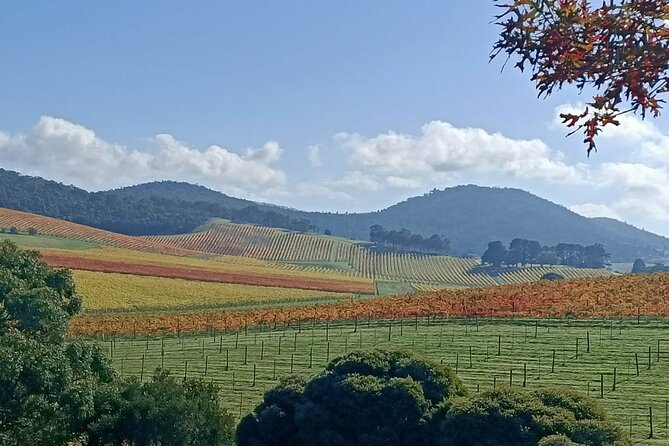 Customized private winery day tour in Yarra Valley at your own choices - Who Would Love This Experience?