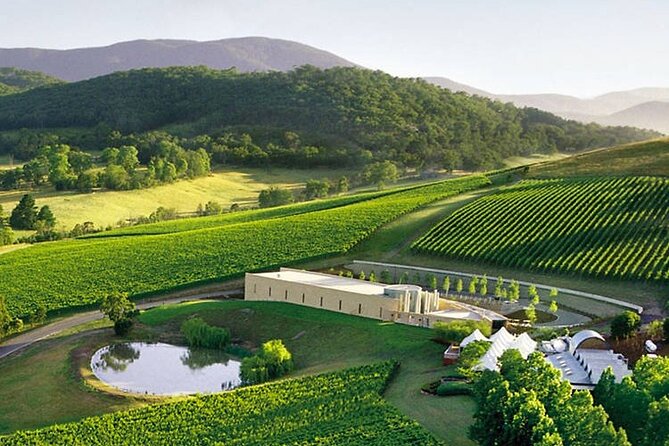 Customized private winery day tour in Yarra Valley at your own choices - Authentic Encounters and Expert Guides