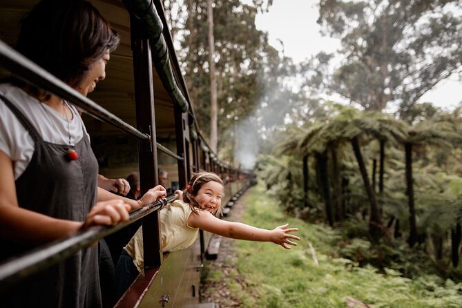 Puffing Billy, Forest Trails and Yarra Valley Discovery Tour - What’s Included and What’s Not