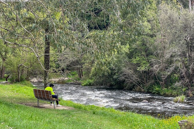 Puffing Billy, Forest Trails and Yarra Valley Discovery Tour - The Experience Vibe and Guide Highlights