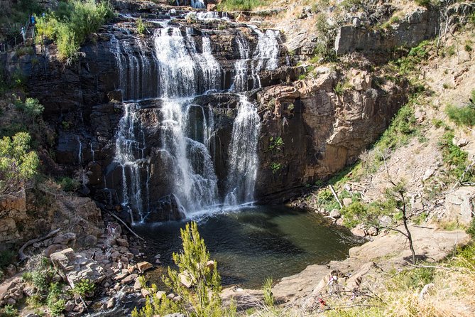 3-Day Melbourne to Adelaide Small-Group Tour via Great Ocean Road Grampians - A Deep Dive into the 3-Day Adventure