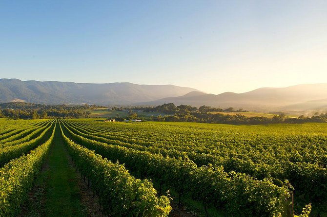 3-Day Melbourne to Adelaide Small-Group Tour via Great Ocean Road Grampians - Final Thoughts