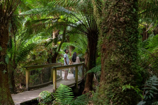 Great Ocean Road to Grampians 2 Day 1 Night Tour from Melbourne to Adelaide - An In-Depth Look at the Itinerary