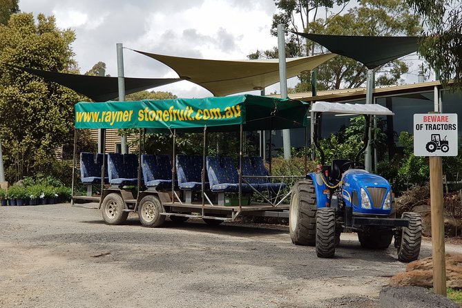 Healesville Sanctuary and Rayners Orchard Tour from Melbourne - What Travelers Say and Why This Tour Works