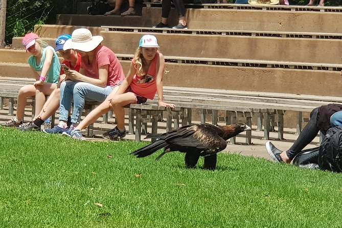 Healesville Sanctuary and Rayners Orchard Tour from Melbourne - Exploring the Itinerary: What You’ll Actually Experience