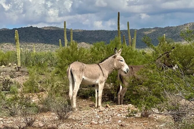 Guided Off Road ATV/UTV Adventure Tour - Who Will Enjoy This Tour?