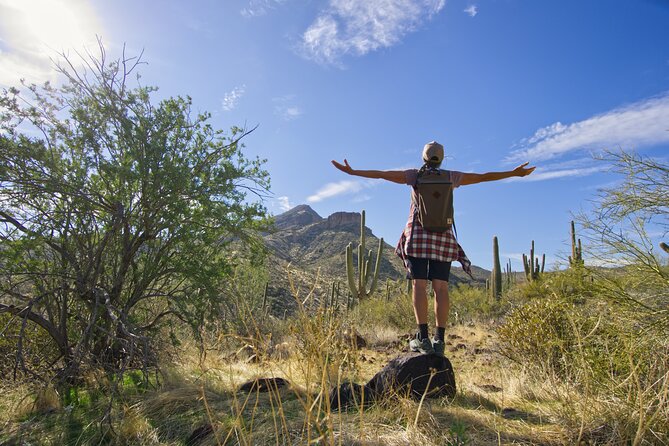 Scottsdale Desert Classic Guided Hiking Adventure - Key Points