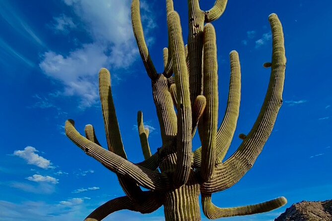 Scottsdale Desert Classic Guided Hiking Adventure - FAQ