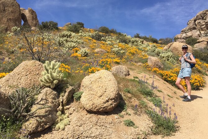 Scottsdale Desert Classic Guided Hiking Adventure - Deepening the Experience: Why It Stands Out