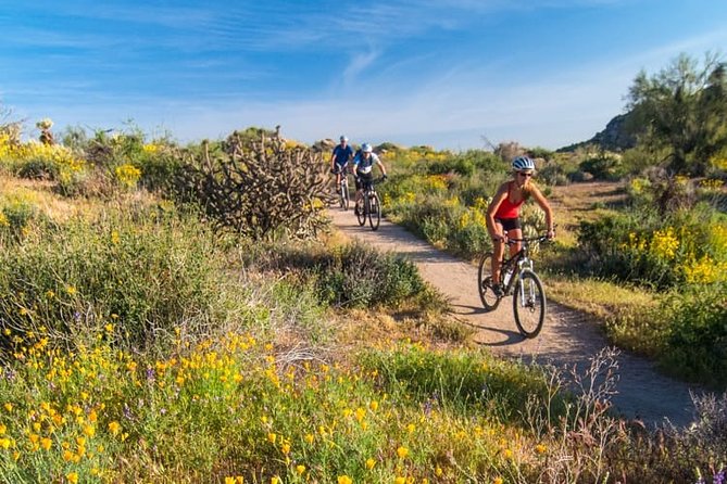 Sonoran Desert Guided Mountain Bike Tour - What to Expect on the Itinerary
