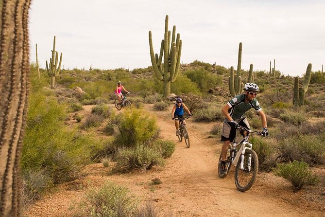 Sonoran Desert Guided Mountain Bike Tour - FAQ
