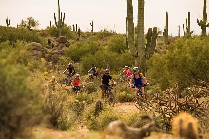 Sonoran Desert Guided Mountain Bike Tour - Authentic Experiences and Genuine Ratings