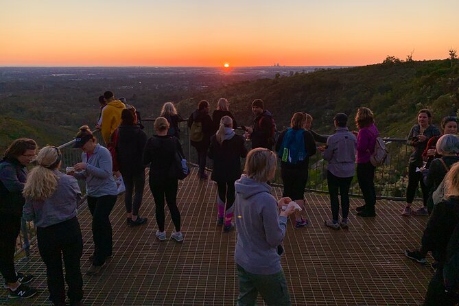 Lesmurdie Falls Sunset & Sparkling Hike - A Detailed Look at the Lesmurdie Falls Sunset & Sparkling Hike