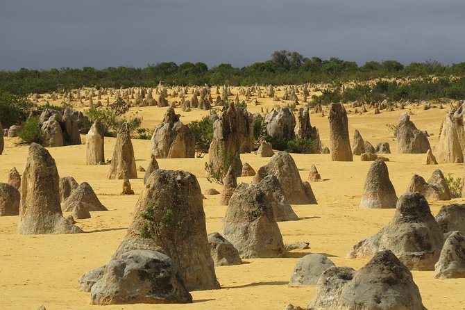 Wave Rock, Pinnacles and Rottnest One Day Aeroplane Tour - A Detailed Look at the Tour Experience