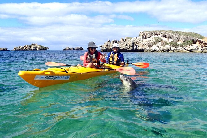 Full-Day Perth, Fremantle, Swan Valley & Wildlife Park - Final Thoughts