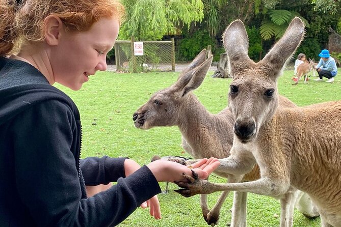 Full-Day Perth, Fremantle, Swan Valley & Wildlife Park - Who Should Consider This Tour?