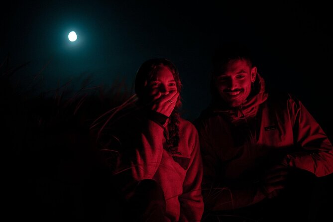 Stewart Island Wild Kiwi Experiences - What is Stewart Island Wild Kiwi Experiences?