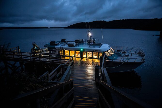 Stewart Island Wild Kiwi Experiences - FAQ