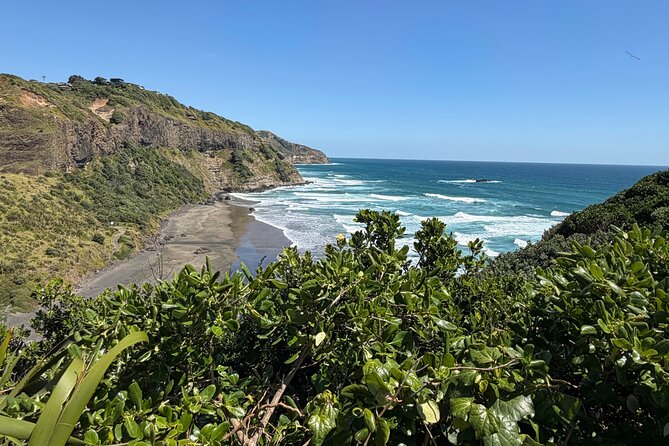 The Ultimate Muriwai Gannet Colony Experience Private Tour - FAQ