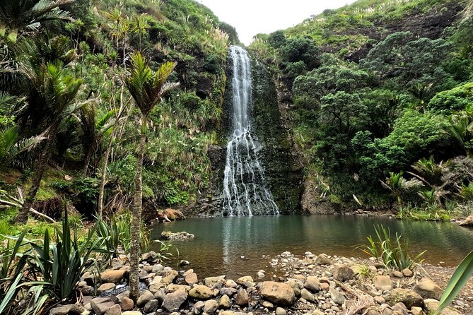 Auckland West Coast Rainforest and Beach Tour - Transportation and Comfort