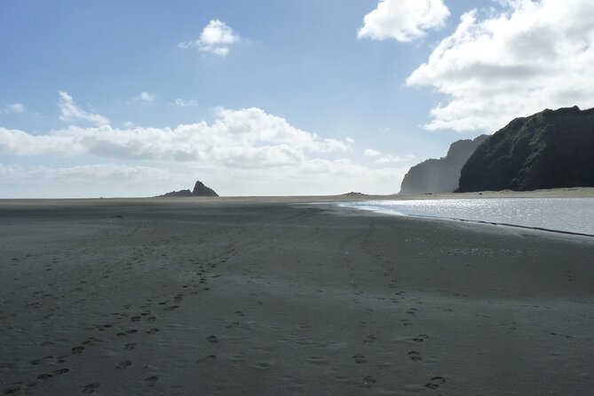 Auckland West Coast Rainforest and Beach Tour - Who Will Love This Tour?
