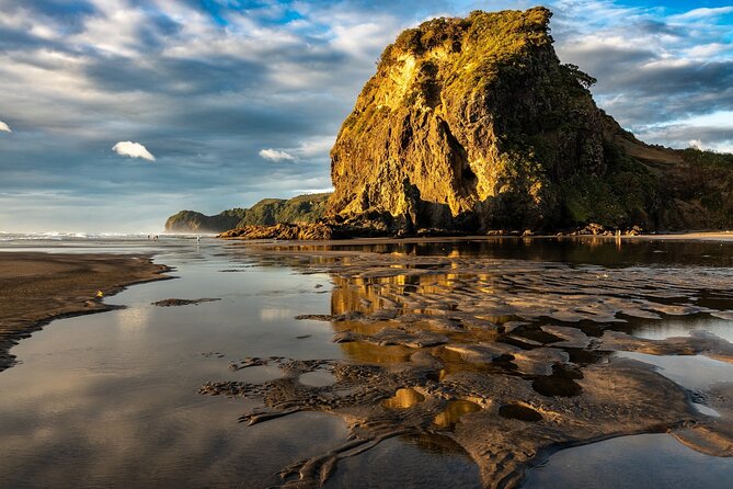 Auckland West Coast Rainforest and Beach Tour - Frequently Asked Questions