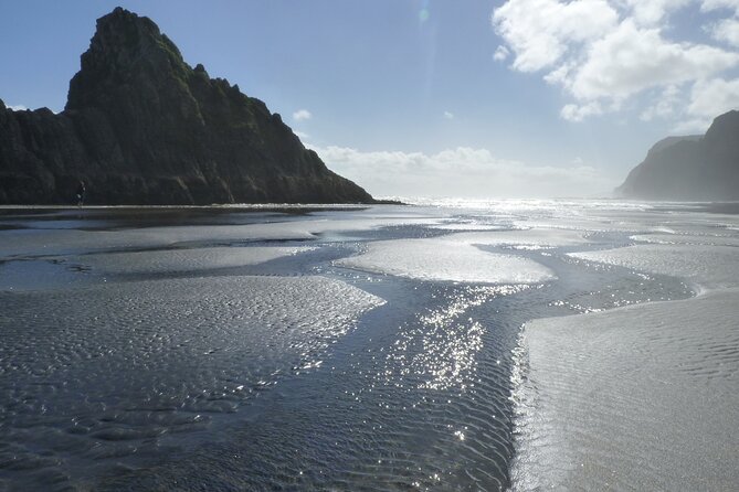 Auckland West Coast Rainforest and Beach Tour - Key Points