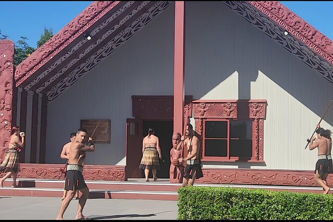 Auckland : Hobbiton & Te puia & red wood forest Private Tour - Pricing and Value