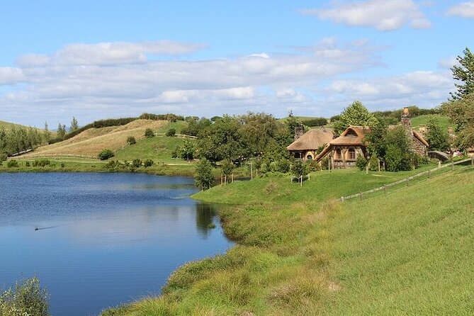 Auckland : Hobbiton & Te puia & red wood forest Private Tour - The Sum Up