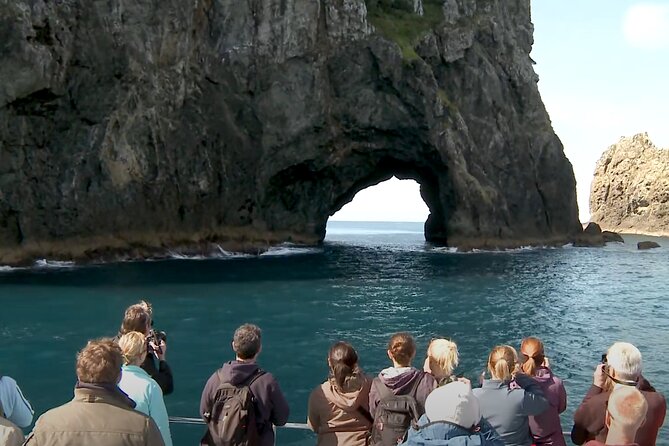 [PRIVATE] Bay of Islands Discovery From Auckland - Good To Know